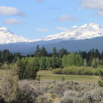 Indian Ford Meadow Preserve near Sisters, Oregon